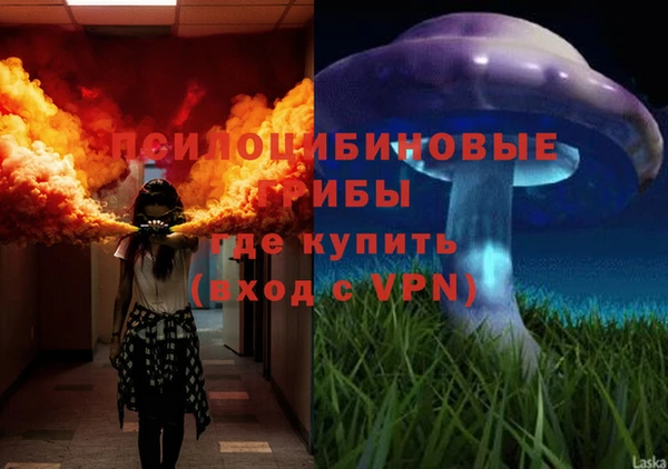 гашик Абинск