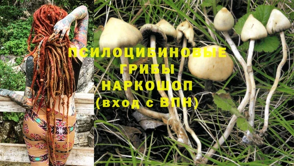 марихуана Абаза