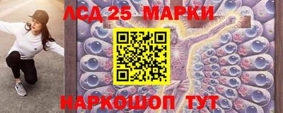 крисы Камышлов
