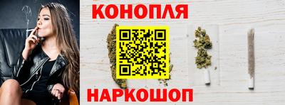 крисы Камышлов