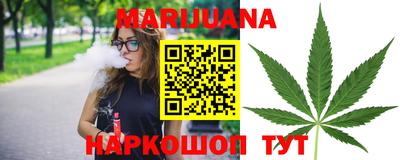 крисы Камышлов