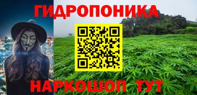 крисы Камышлов