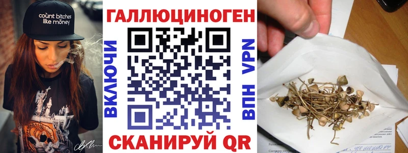 Галлюциногенные грибы Magic Shrooms  Прохладный 